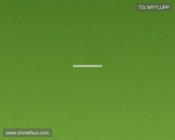 决胜制高点:驱动未来,赢在战略的至高领地 决胜制高点:驱动未来,赢在战略的至高领地